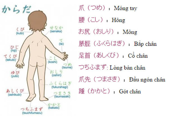Từ vựng Từ vựng