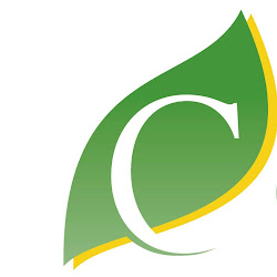 Citygreenservices - logo