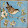Itsuka Shimotsuki Itsuka Shimotsuki's profile photo