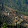 Chuikhim Darjeeling Chuikhim Darjeeling's profile photo