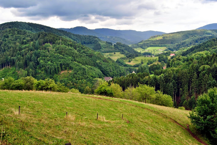 Selva Negra: Baden-Baden y Schwarzwald Hochstrasse. - Alsacia, Selva Negra y Suiza. (9)