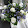 Saskia Dijk Saskia Dijk's profile photo