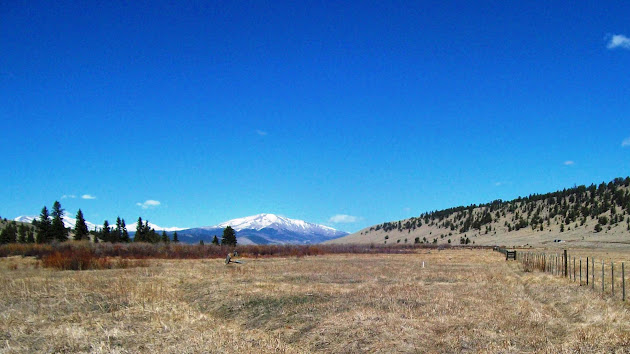 Cover photo