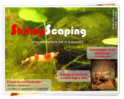 ShrimpScaping1