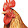 Philip Fong Philip Fong's profile photo