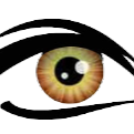 Optic Gallery Family Eye Care logo