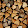 Carol B. Carol B.'s profile photo