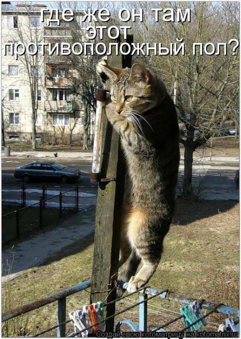 Ни дня без улыбки. Немного о наших, любимых… Ни дня без улыбки. Немного о наших, любимых…