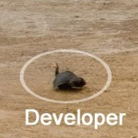 Image pertaining to QUACH DEV