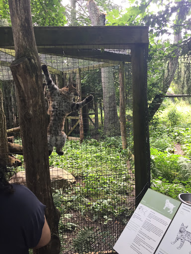 Zoo «Trevor Zoo at Millbrook School», reviews and photos, 282 Millbrook School Rd, Millbrook, NY 12545, USA