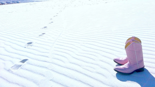 Cover photo
