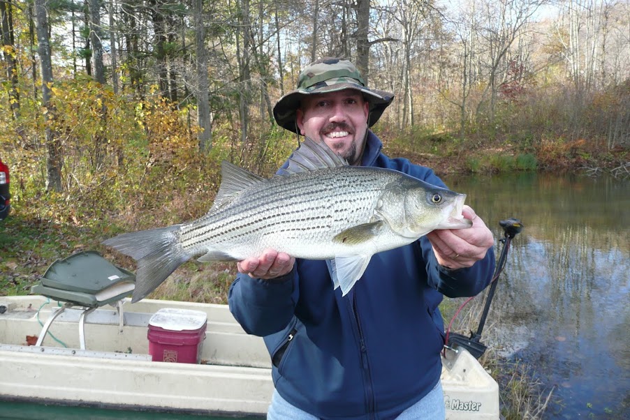 Hybrid Striped Bass in Texas Farm Ponds - Pond Boss Forum