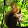 Alisa Oboroceanu Alisa Oboroceanu's profile photo