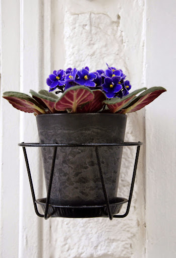 Из дальних странствий возвратясь... круиз вокруг Европы на Costa Luminosa 8-18 мая 2013