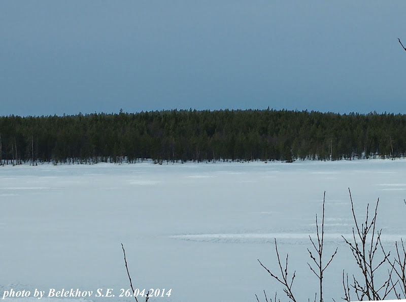 Мурманск, трасса