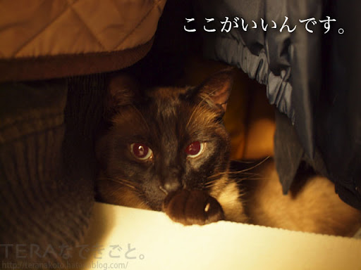 12042901.JPG