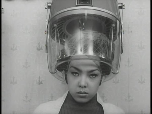 funeral parade of roses