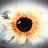 Tuesday Sedillos avatar image
