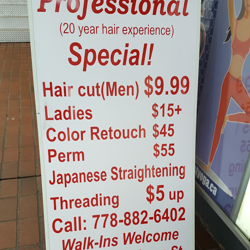 professional hair salon (20+ years in hair experience) logo