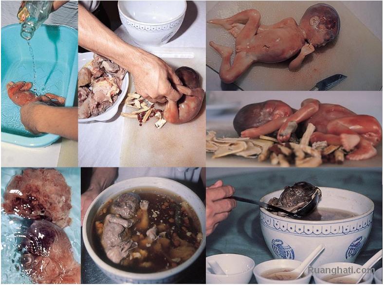 Sup bayi manusia di cina dan proses pembuatannya Sup-bayi-1