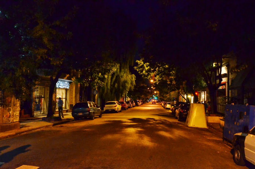 DSC_8579.JPG