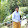 sabeer ahamed aslam AsLach sabeer ahamed aslam AsLach's profile photo