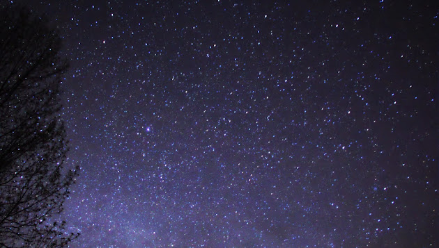 Cover photo