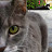 Edward Correia avatar image