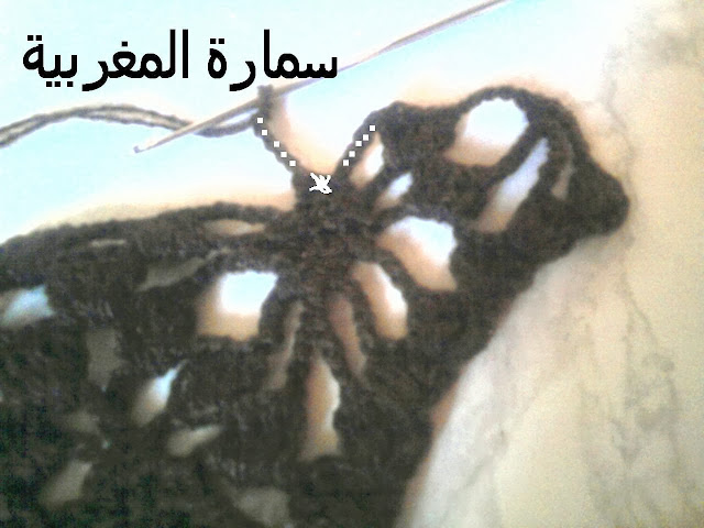 ورشة شال بغرزة العنكبوت لعيون الغالية سلمى سعيد Photo6878
