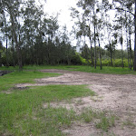 Clearing at Tattersals campground