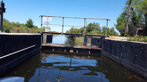 Réserve Naturelle de l'Étang du Cousseau