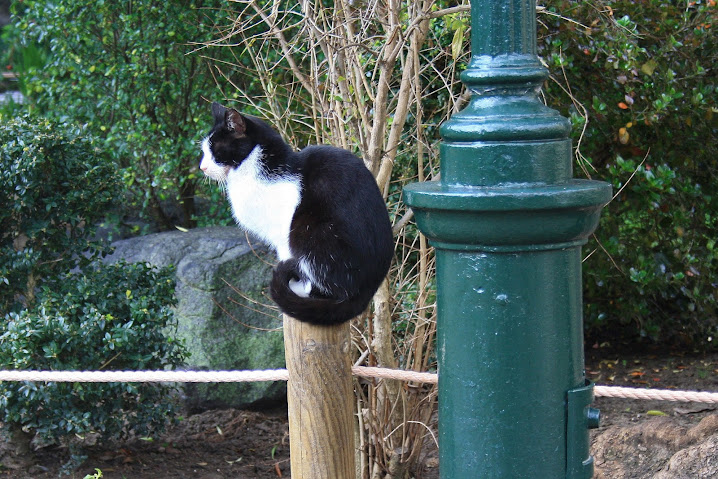 Португалия Испания