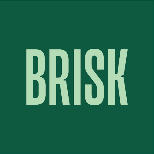 BRISK logo