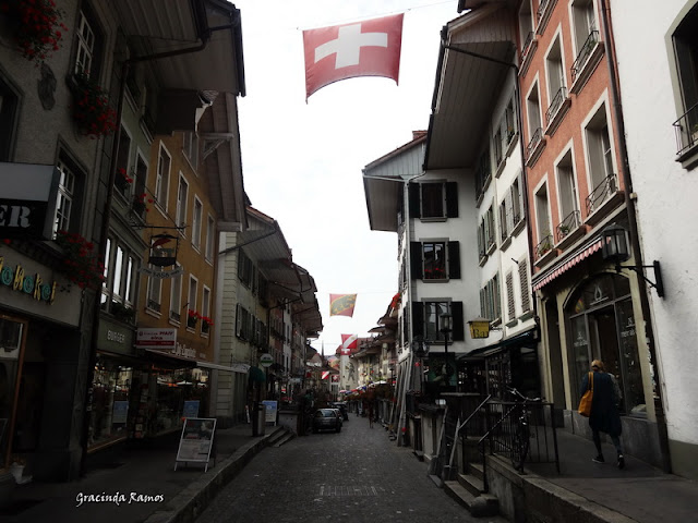 passeando - Passeando pela Suíça - 2012 - Página 13 DSC04666