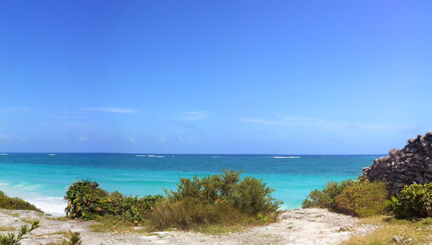 Cover photo