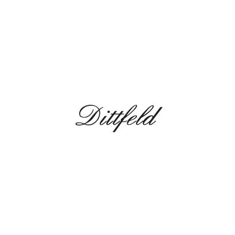 Dittfeld - Mode in Leder logo