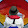 Karen Liesenfeld Karen Liesenfeld's profile photo