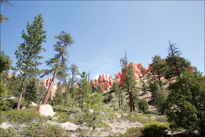 Navajo-Queens Garden Trail