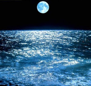 immagine marina immagine marina