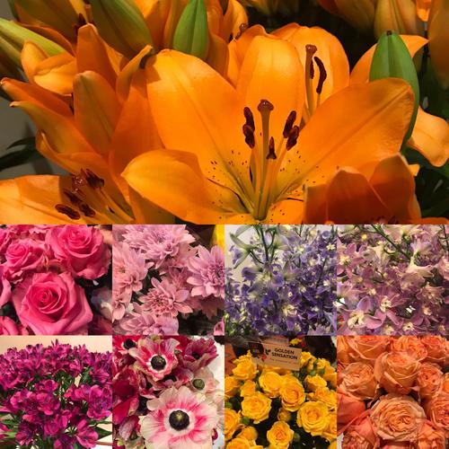 Springfield Wholesale Flowers // The Retail Division of Springfield Florists Supply Inc