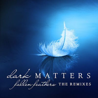 Dark Matters - Fallen Feathers (The Remixes) - (ARDI3141) - WEB - 2012 - EiTheLMP3