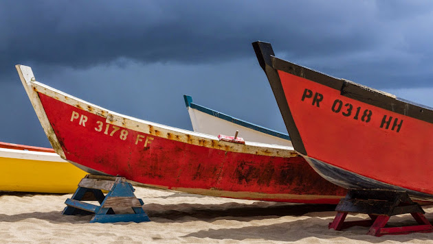 Cover photo