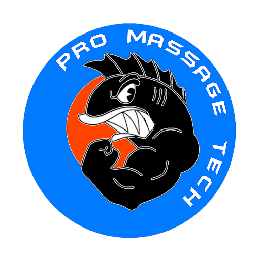 Pro Massage Tech logo