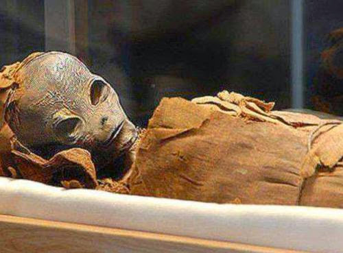 Mummified Alien Body Discovered In Egypt