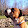 Jamin Go Jamin Go's profile photo