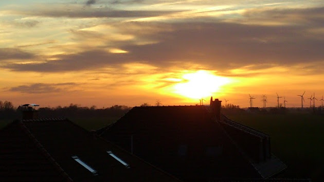 Cover photo