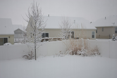 A house covered in snow.