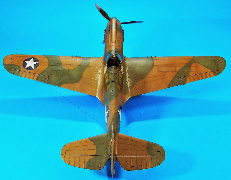 P-40E hasegawa 100_5296