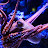 Jose Bustillo avatar image