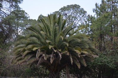Photos of Universitario Botanical Garden